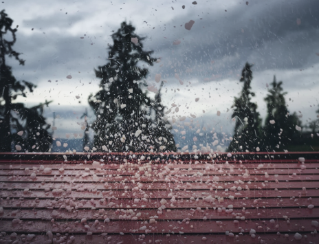 hail damaged roof.
